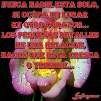 /album/fotogaleria/nunca-nadie1-jpg/